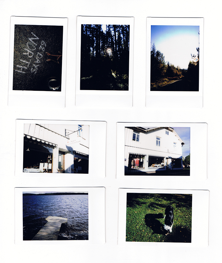 Fuji Instax | polaroids | Fenne.be