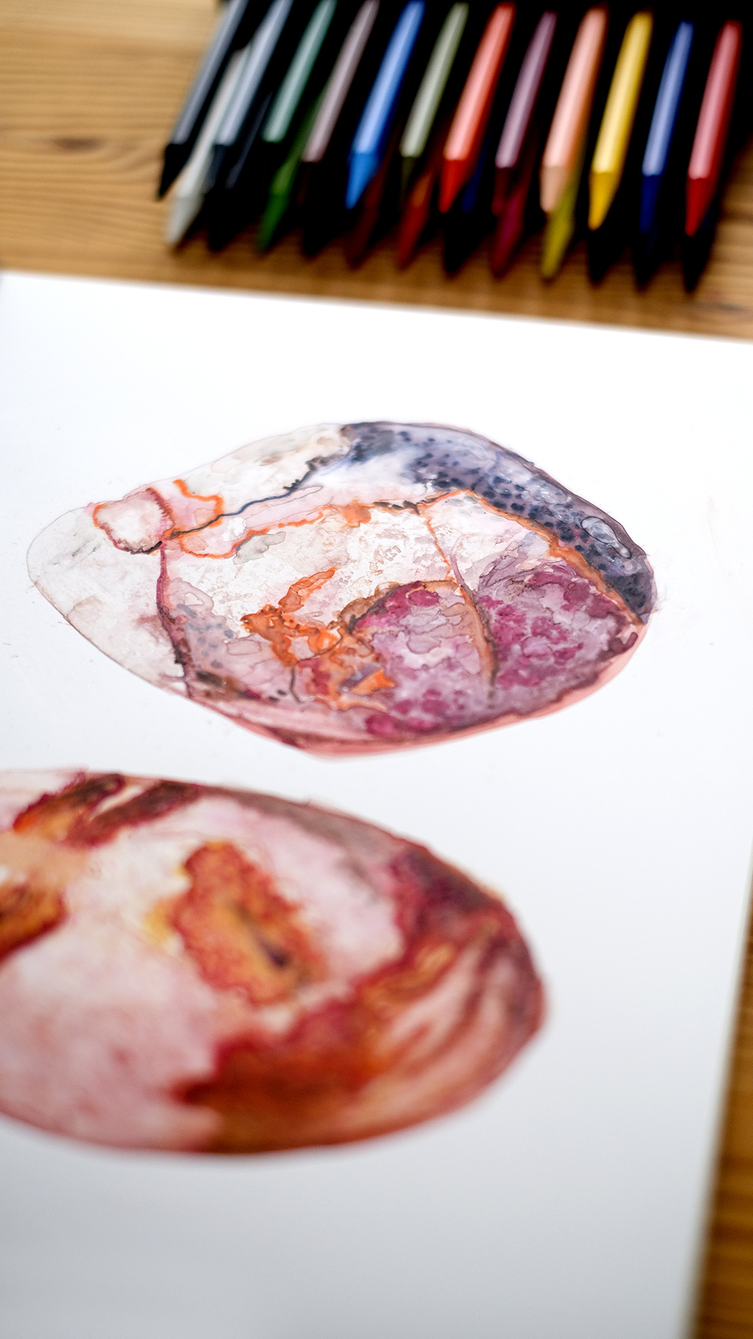 Karst stone paper and woodless watercolor pencils, sponsored art post, www.Fenne.be