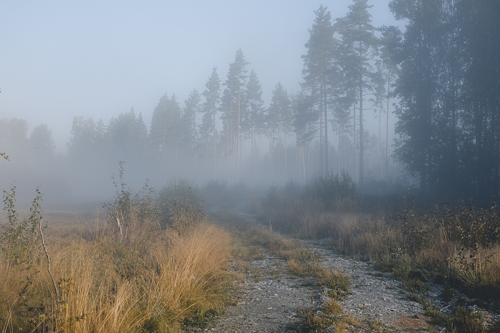 Early autumn in Dalarna Sweden, Fujifilm photography, www.Fenne.be