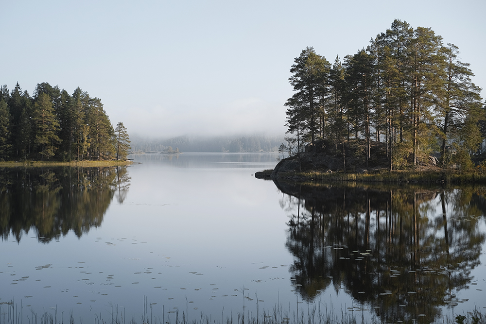 Early autumn in Dalarna Sweden, Fujifilm photography, www.Fenne.be