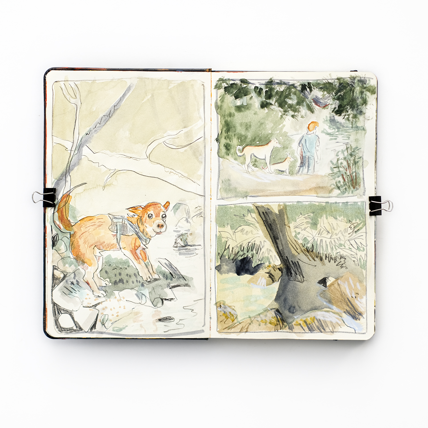 Fenne Kustermans, August mixed media sketchbook, Patreon sessions, nature inspired art, www.Fenne.be