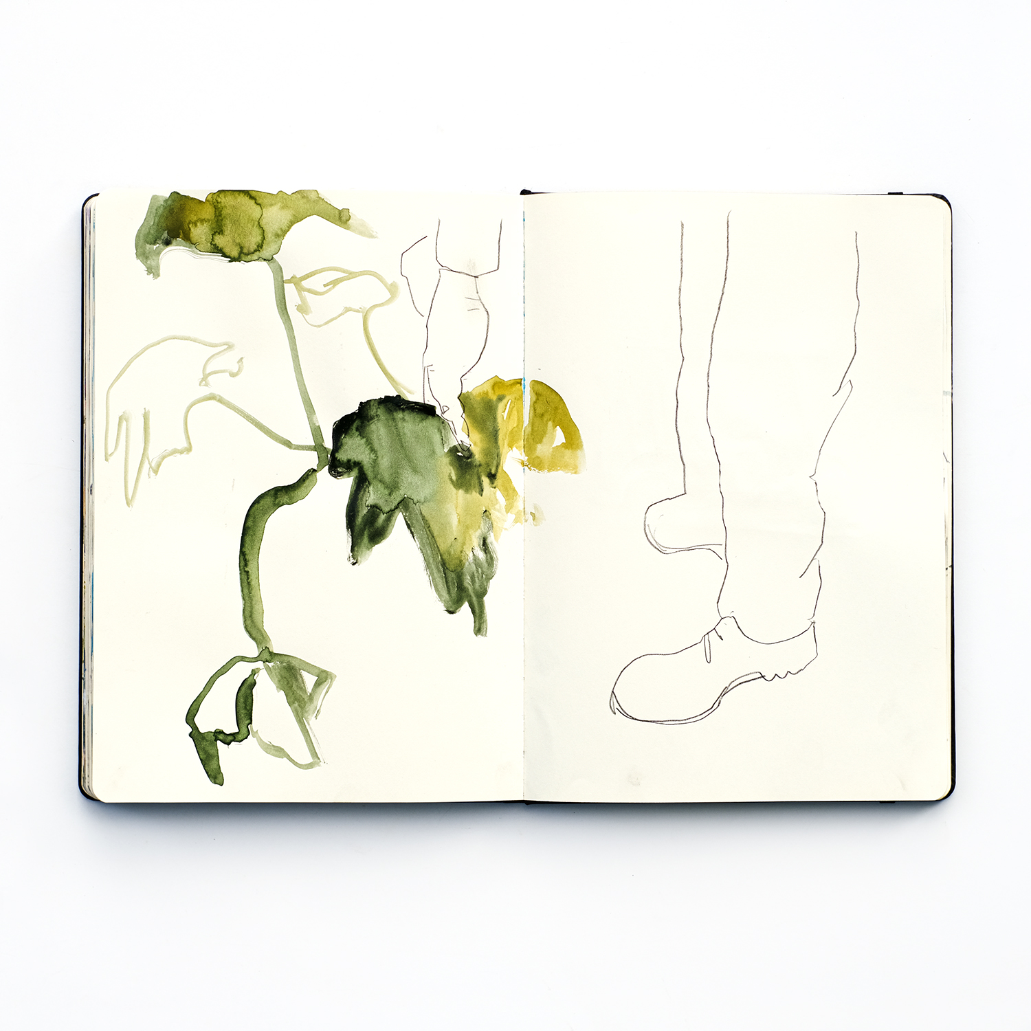 Fenne Kustermans, August mixed media sketchbook, Patreon sessions, nature inspired art, www.Fenne.be