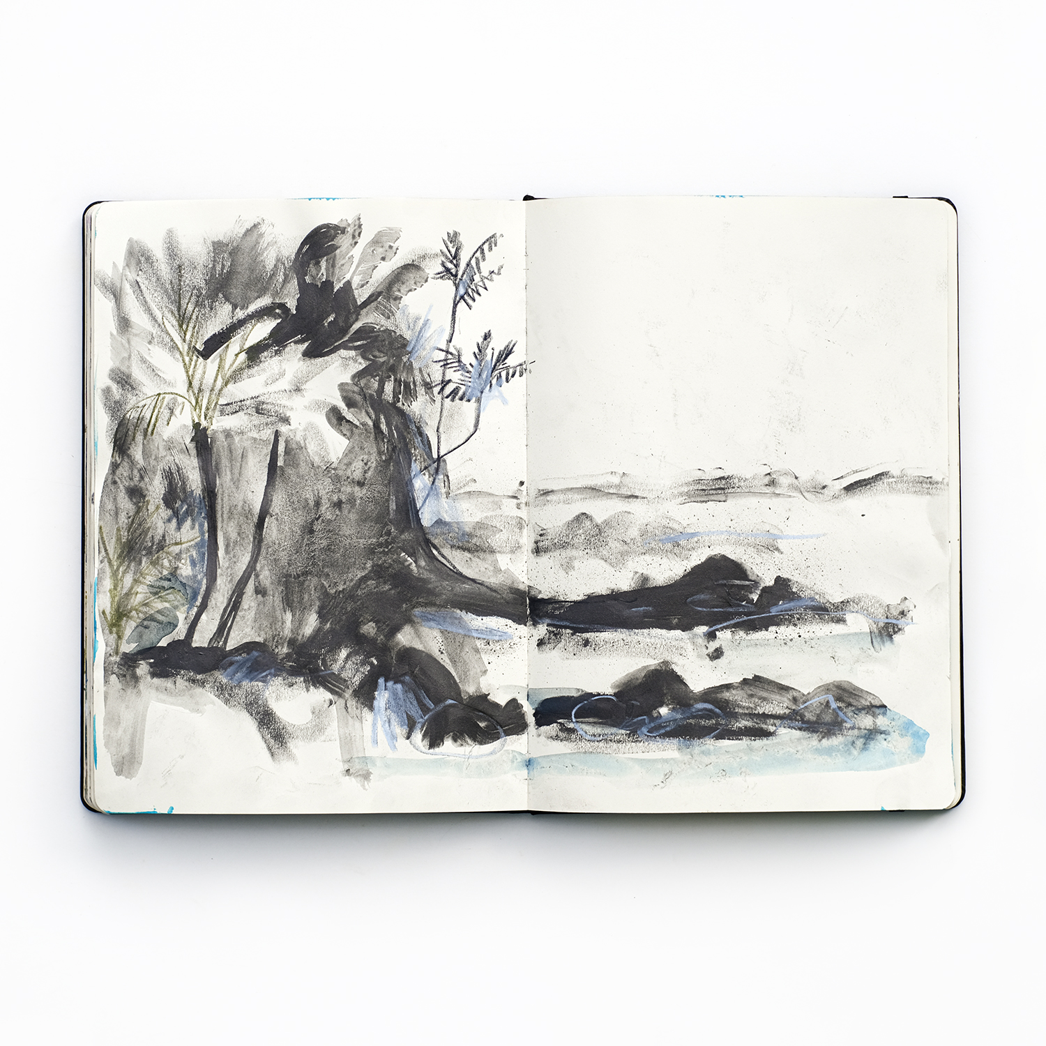 Fenne Kustermans, August mixed media sketchbook, Patreon sessions, nature inspired art, www.Fenne.be