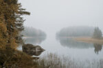 Autumn wanderings, autumn outdoor photography Sweden. Nordic autumn, www.Fenne.be