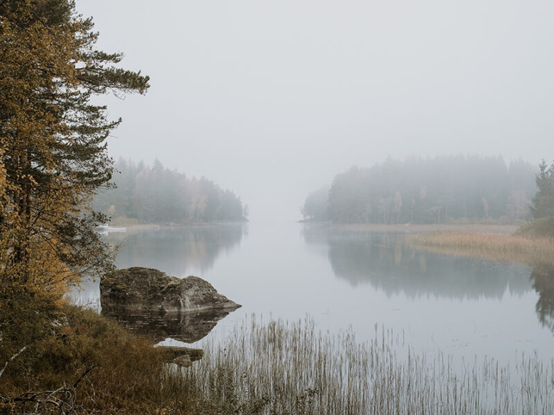 Autumn wanderings, autumn outdoor photography Sweden. Nordic autumn, www.Fenne.be