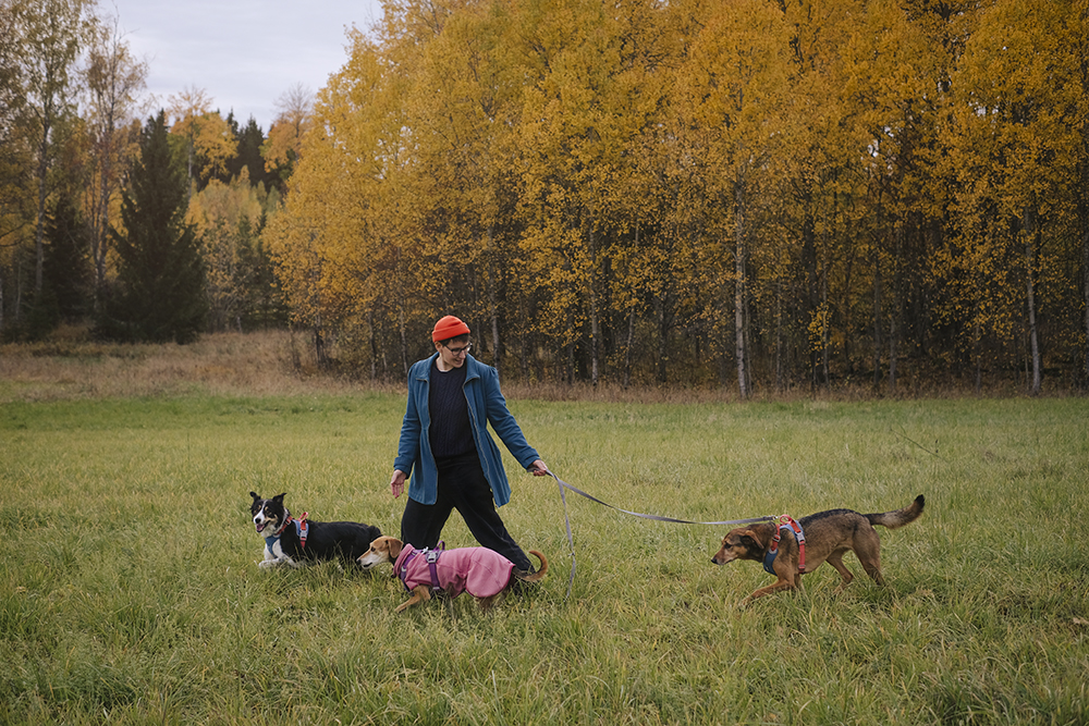 Autumn wanderings, autumn outdoor photography Sweden. Nordic autumn, www.Fenne.be