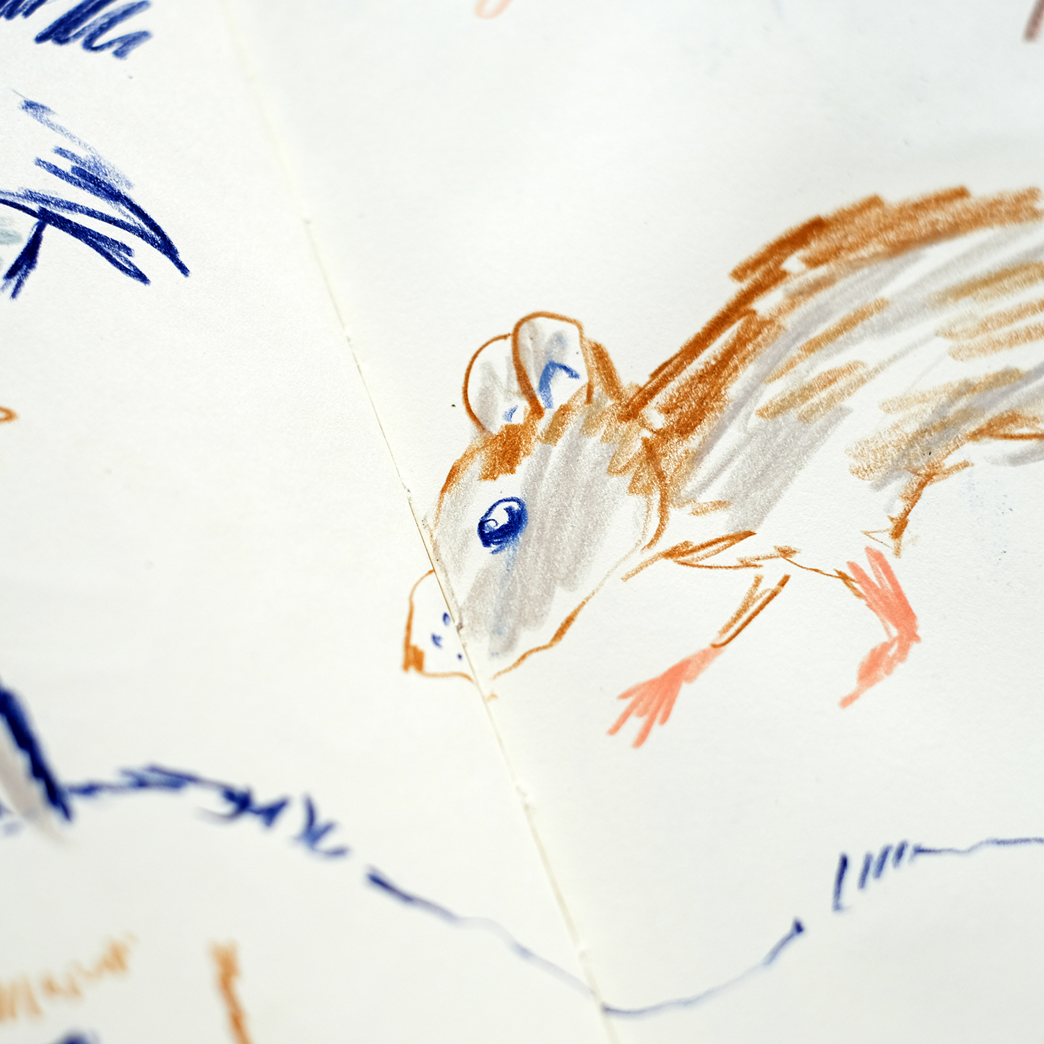 Animal drawings sketchbook, www.Fenne.be