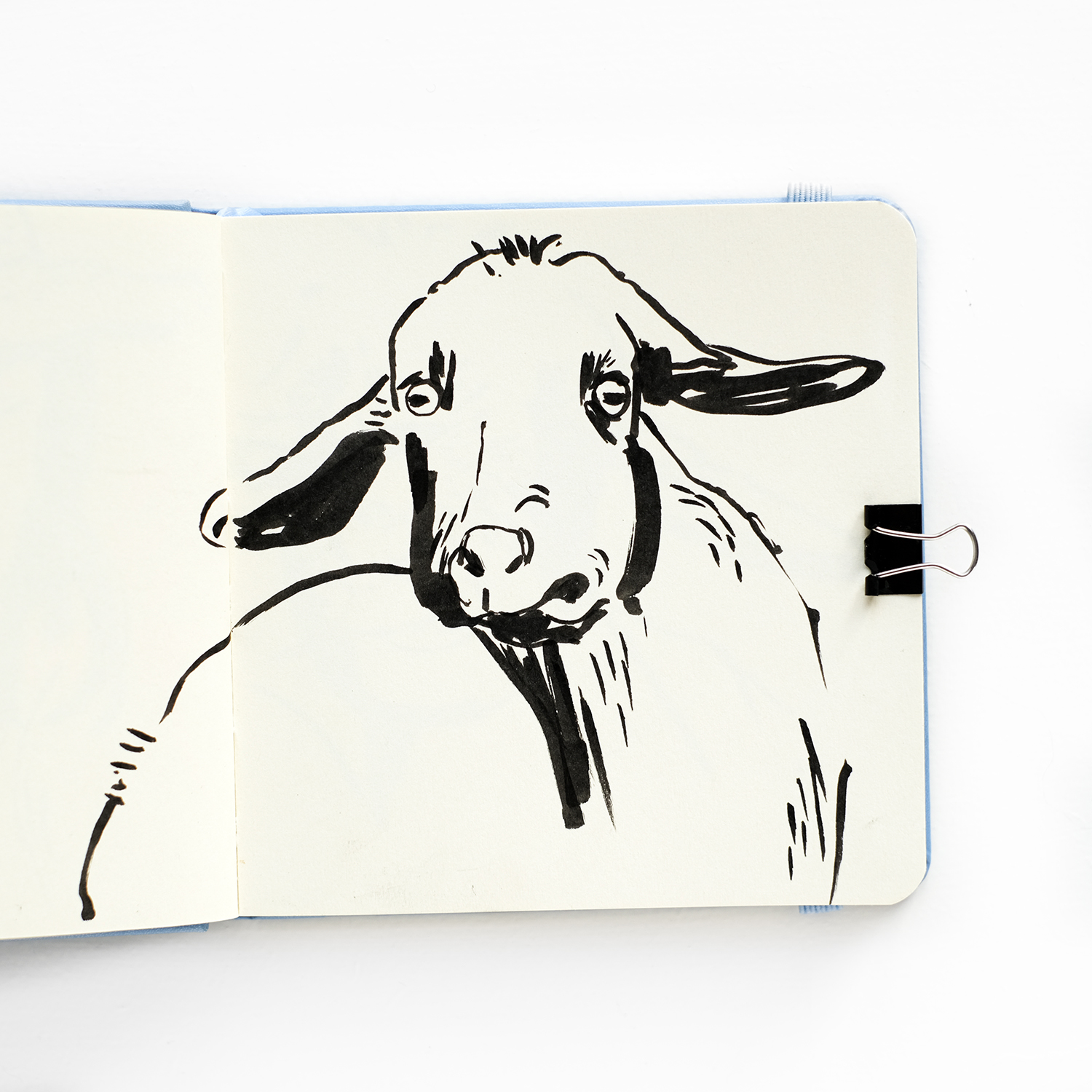 Sketching farm animals, royal talens sketchbook, www.Fenne.be