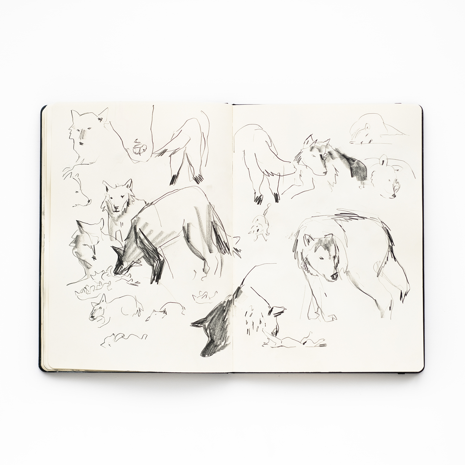 Sketching fast moving animals in mixed media, royal talens sketchbook, www.Fenne.be