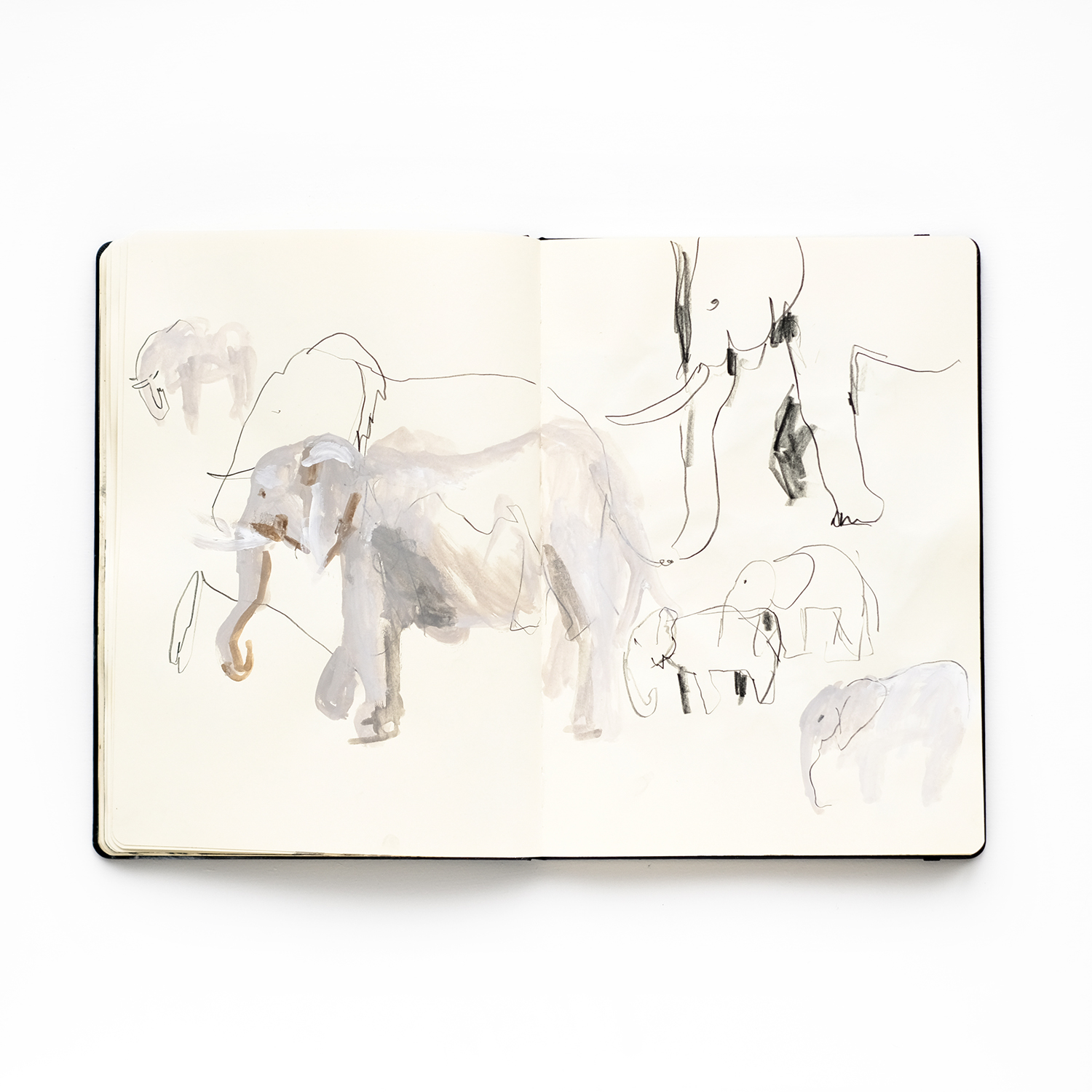 Sketching elephants, mixed media, www.Fenne.be