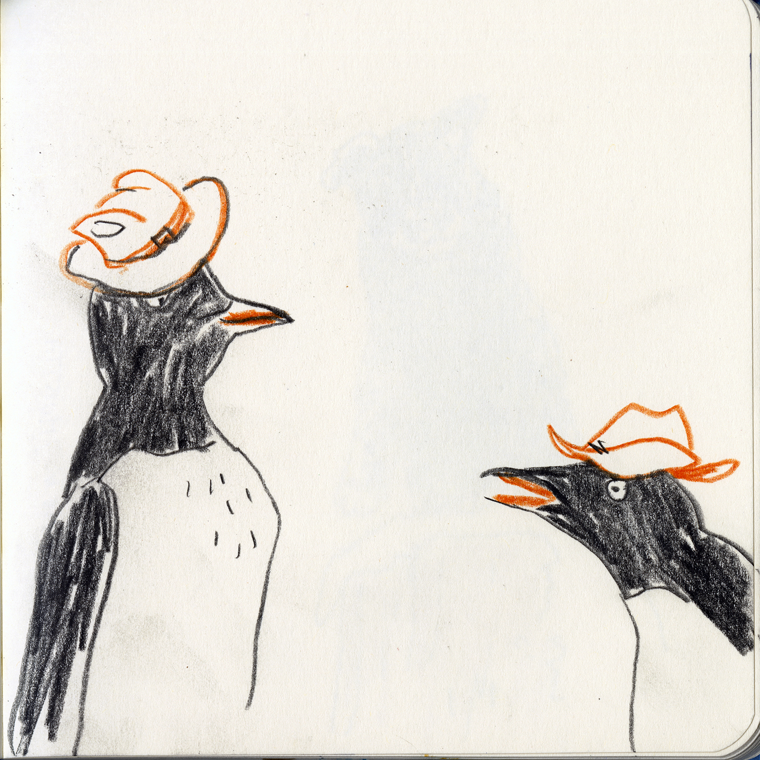 Sketching penguins with hats, www.Fenne.be